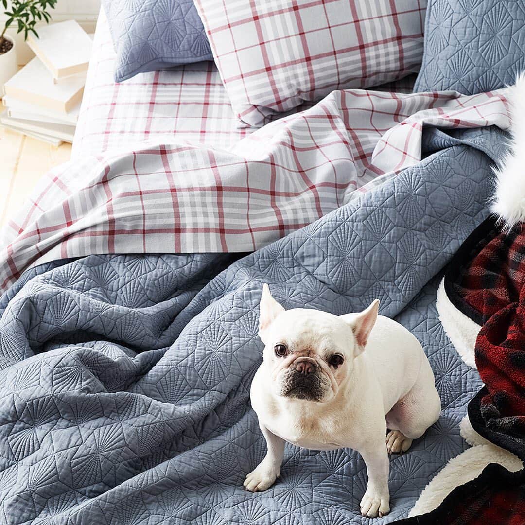 ロック&リパブリックのインスタグラム：「Brb, hitting snooze a million more times. ❤️ #Kohls」