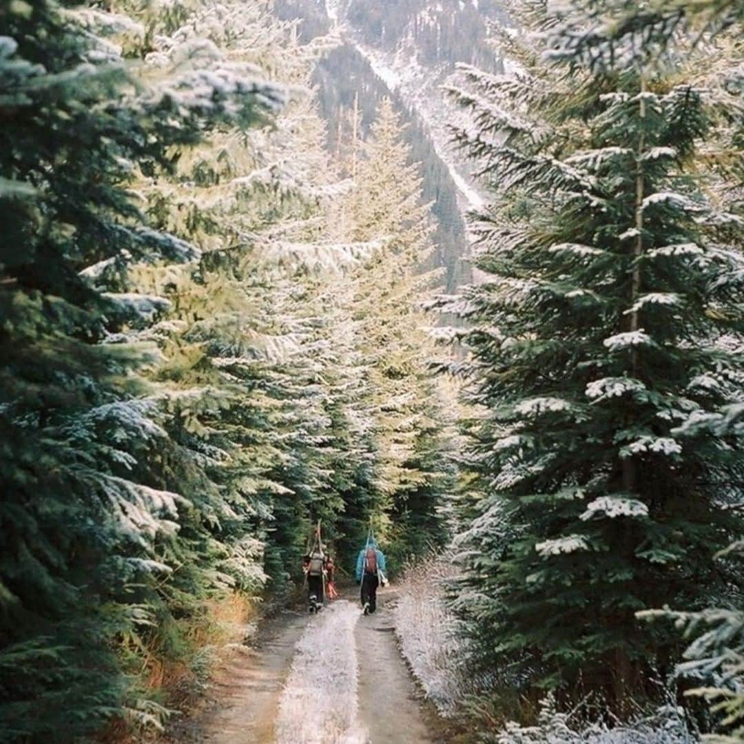 ドイターさんのインスタグラム写真 - (ドイターInstagram)「Like being on a roadtrip, wildernessing is about the freedom to go where you like on your own terms. 💙 (Location: Pemberton, British Columbia) - Thanks 📸@alvaro.masegosa for sharing your #deutermoment. 🏔❤️ Please tag #yesdeuter to be featured. - #deuter #deuterbackpack #skiingmountains #mountainescape #mountaineer #mountainviews #alpinism #skiing #skitouring」12月28日 1時00分 - deuter
