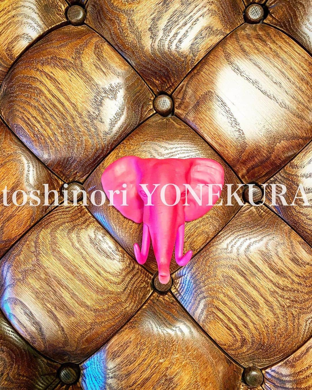 米倉利紀さんのインスタグラム写真 - (米倉利紀Instagram)「pink ELEPHANT」12月28日 1時21分 - toshi_yonekura