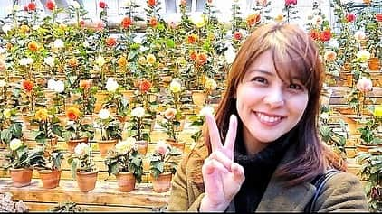 藤井美菜さんのインスタグラム写真 - (藤井美菜Instagram)「. なばなの里の、ベゴニアガーデンは花が沢山で癒されました☺️🌺 나바나노 사토 베고니아 가든은 꽃이 많아서 힐링이 됐어용☺️🌺 I was healed by the begonia garden ☺️🌺 #なばなの里#ベゴニアガーデン#나바나노사토#꽃을좋아해#nabananosato#iloveflower」12月28日 2時14分 - fujii_mina_0715