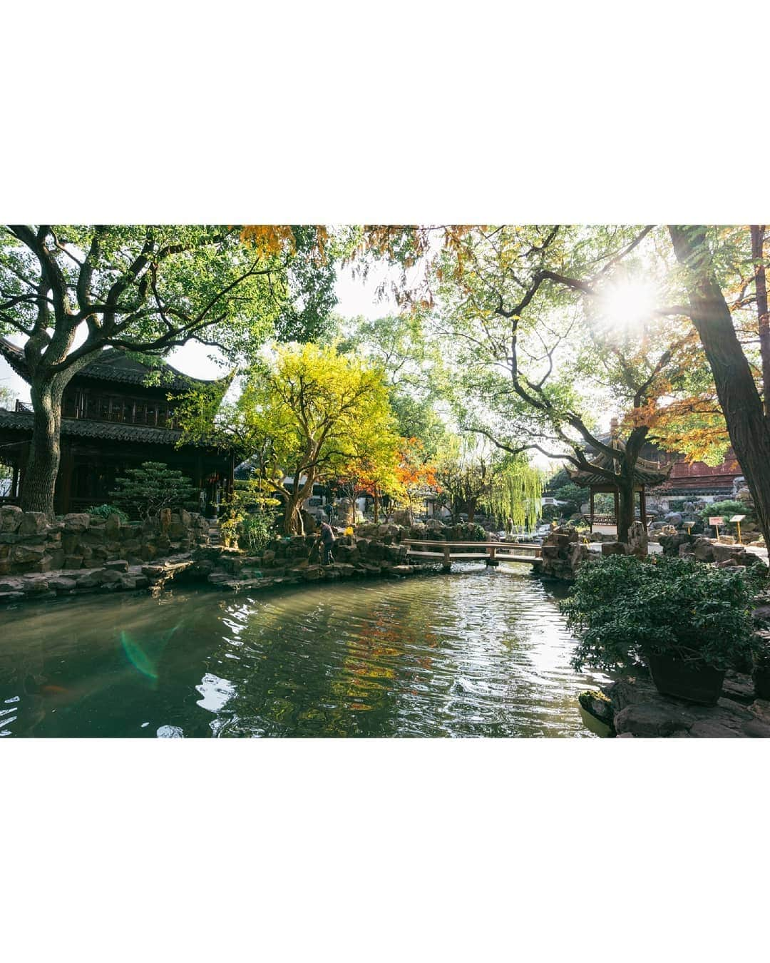 VuTheara Khamさんのインスタグラム写真 - (VuTheara KhamInstagram)「The Old Shanghai, China (2019)  It's a selection of pictures taken in Yuyuan Garden, Jing An and Quibao. 1) 2) 3)  4) Yu Yuan Garden 5) 6) 7) Jing An 8) 9) 10) Quibao  The trip to Shanghai was an incredible experience for which I would like to thank the company @aeroflot. #aeroflotshanghaistory」12月28日 2時35分 - vutheara