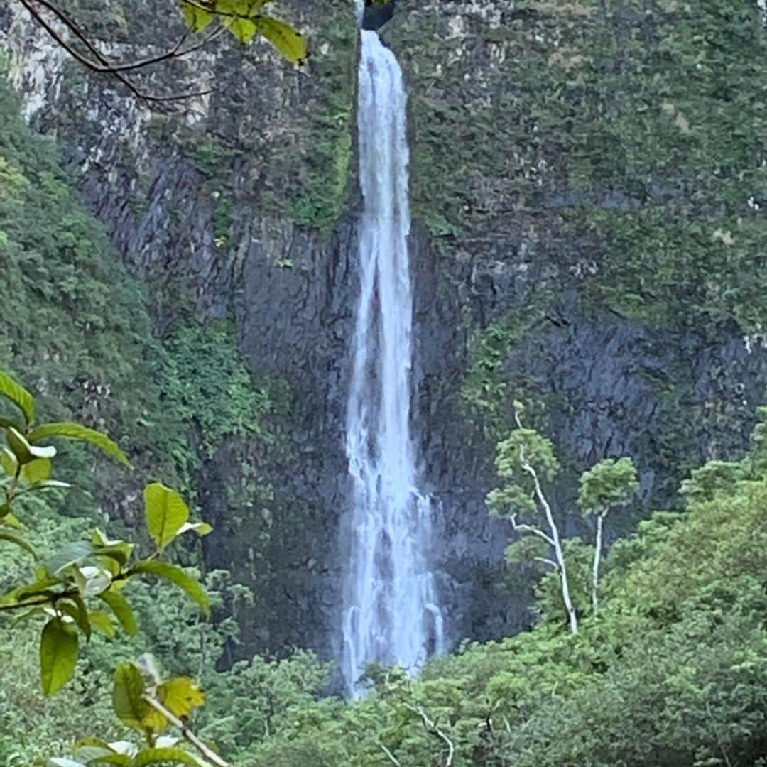 パトリック・ファビアンさんのインスタグラム写真 - (パトリック・ファビアンInstagram)「Hiking the #hanakapiai trail in the #napalicoaststatepark ......🤙 . . . . . #hawaii #kauai @shadyrays @valsurf1962 @vasquefootwear @bluelizardsun #hiking #nature #beach #ocean @vuoriclothing」12月28日 2時51分 - mrpatrickfabian