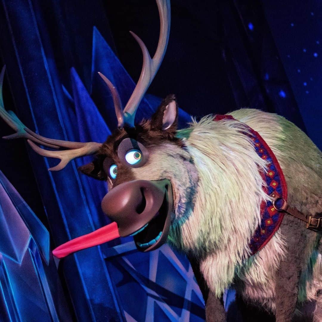 Walt Disney Worldさんのインスタグラム写真 - (Walt Disney WorldInstagram)「Reindeers are better than people. 🦌❄ Who is your favorite character to see in Frozen Ever After? #Epcot #WaltDisneyWorld (📷: @guide4wdw)」12月28日 5時00分 - waltdisneyworld