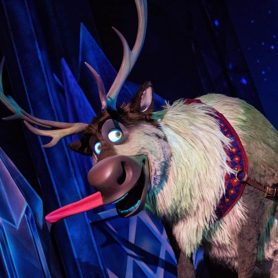 Walt Disney Worldのインスタグラム：「Reindeers are better than people. 🦌❄ Who is your favorite character to see in Frozen Ever After? #Epcot #WaltDisneyWorld (📷: @guide4wdw)」