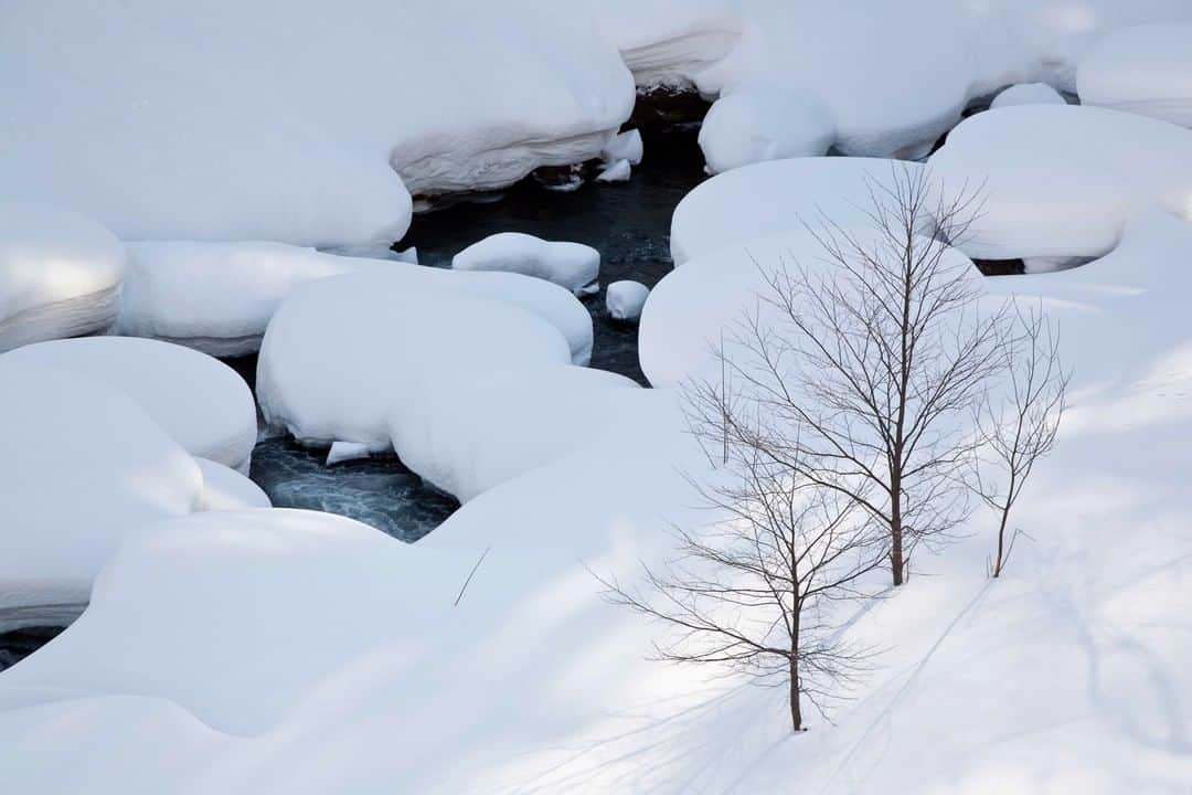 Michael Yamashitaさんのインスタグラム写真 - (Michael YamashitaInstagram)「Pillows of snow blanket the slopes of Daisetsuzan National Park, Hokkaido, Japan.  #snowseason #winterland #daisetsuzan #nationalparks #hokkaido」12月28日 5時05分 - yamashitaphoto