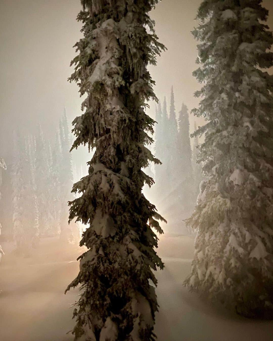 ケン・ブロックさんのインスタグラム写真 - (ケン・ブロックInstagram)「Late night snowshoe adventures with wifey here at @BaldfaceLodge. It’s a pretty surreal place to explore at night. #happywifehappylife #BaldfaceLodge」12月28日 5時52分 - kblock43