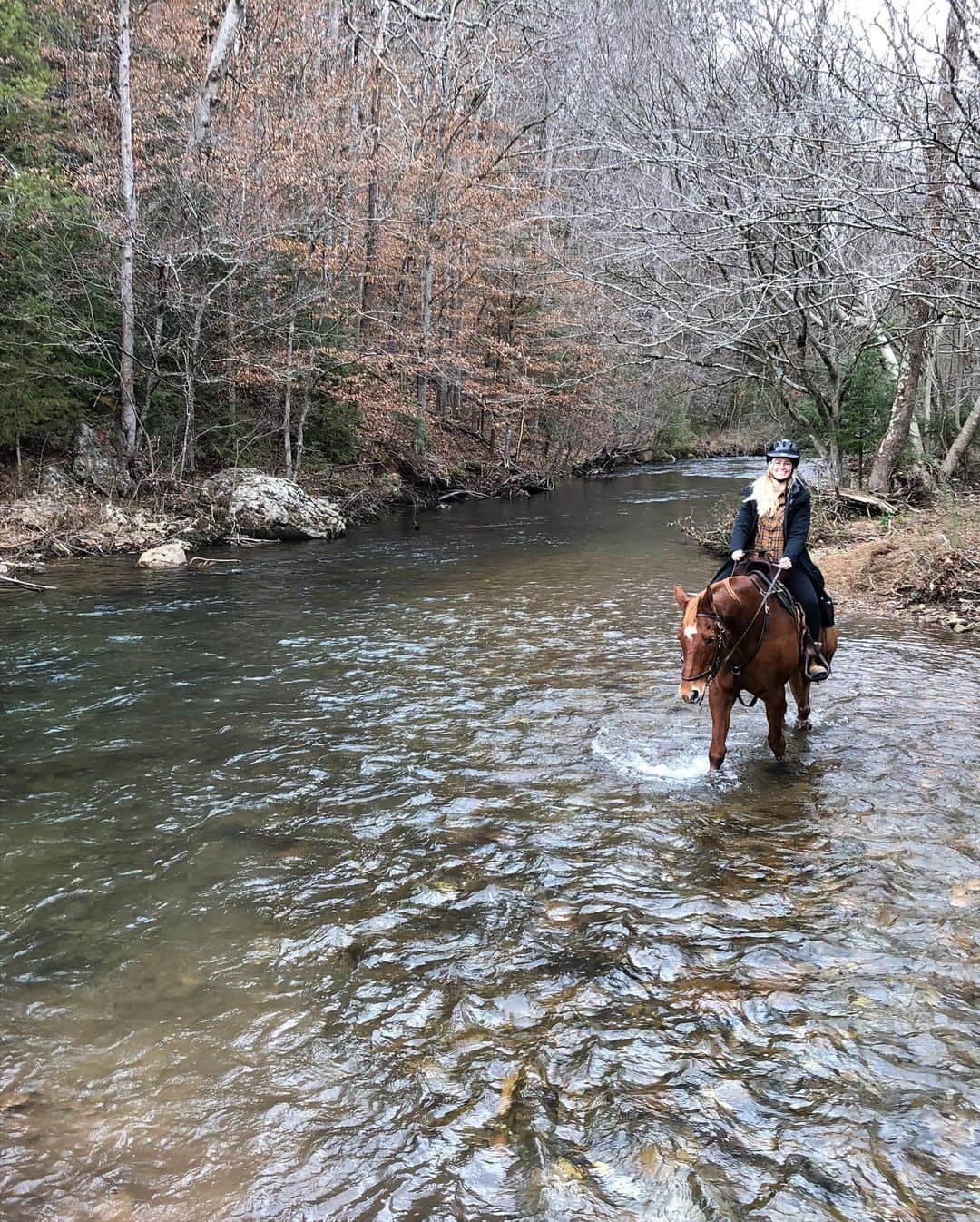 ベス・ベアーズさんのインスタグラム写真 - (ベス・ベアーズInstagram)「Natural horsemanship clinic + riding through the mountains = my version of heaven. A perfect day!」12月28日 5時54分 - bethbehrs