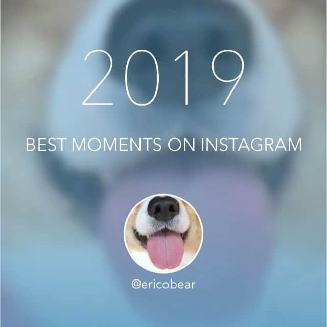 ericoのインスタグラム：「✩ 2019年 力丸を愛でて下さってありがとうございました✨ 来年もよろしくお願いします！ ✩ Thank you for loving Rikimaru! Wishing you a joyous beginning to the New Year! ✩ #それいけ力丸くん #力丸父ちゃんの育メン日記  #コーギー  #犬のいる暮らし#pembrokewelshcorgi  #corgistagram #barked #dogsofinstagram #buzzfeed #corgisofinstagram  #dailyfluff #9gag #weeklyfluff #dogstagram」