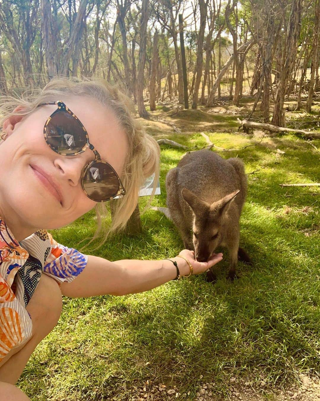 エミリー・デ・レイヴィンさんのインスタグラム写真 - (エミリー・デ・レイヴィンInstagram)「Making friends at Moonlight Sanctuary 🦘🦘🦘 #moonlightsanctuary #melbourne #victoria #australia」12月28日 16時07分 - emiliede_ravin