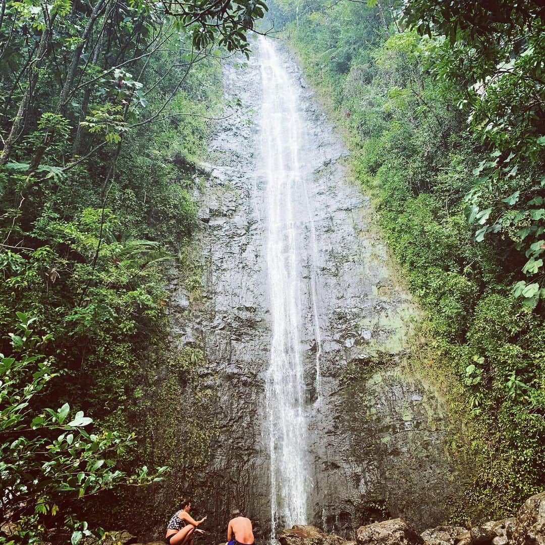 Hundred Dreamsのインスタグラム：「Manoa Falls〽️ 「nature& you」tour  #natureandyou  #manoafalls #manoa #oafu#hawaii #hawaiistagram」
