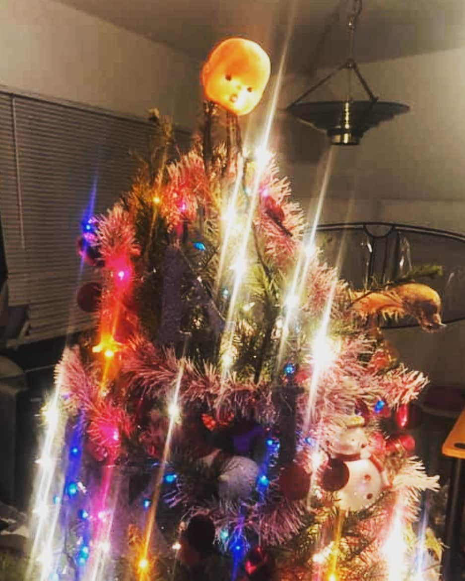アビゲイル・ブレスリンさんのインスタグラム写真 - (アビゲイル・ブレスリンInstagram)「I don’t wanna say I had the BEST Christmas tree of all time... but...」12月28日 9時07分 - abbienormal9