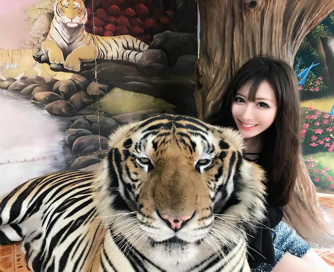 夢咲りおなさんのインスタグラム写真 - (夢咲りおなInstagram)「🇹🇭🐅 もふもふ♥️本物だよ . . .  #シラチャタイガー動物園 #タイガー#虎#動物園#タイ」12月28日 10時52分 - yumerio0906