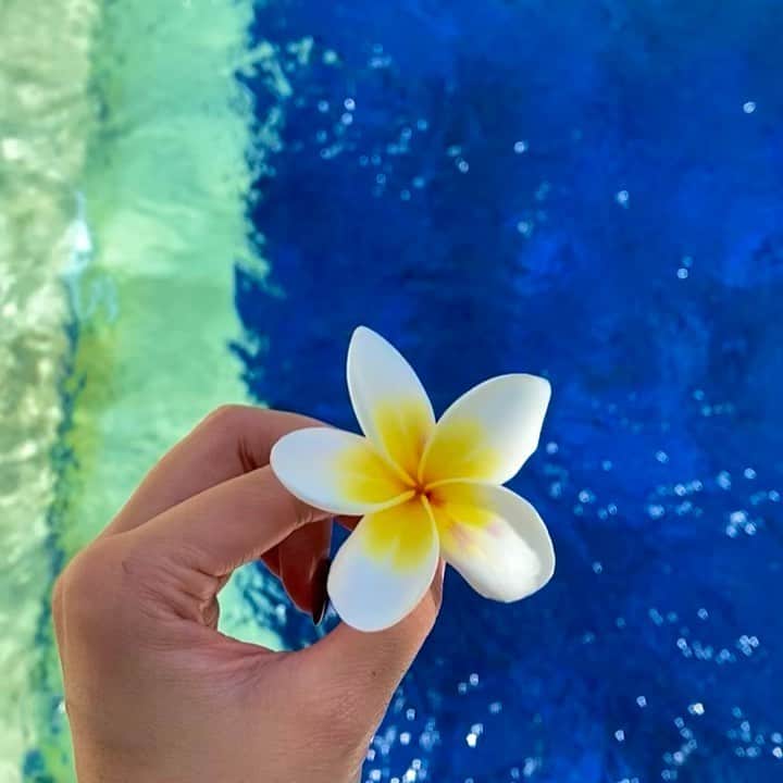 のインスタグラム：「Ohayo🌺 きのう早く寝たから6時半から起きてる🥺👵 #鳥の鳴き声で目覚める朝#bali #プルメリア#pool #あん旅」