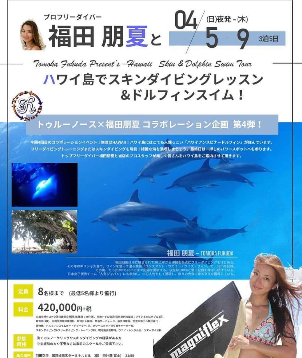 のインスタグラム：「ハワイ島ドルフィンツアー🐬💙✨✨ 4/5-4/9に行います！！ 私の大好きなハワイ島🌋まだまだ成長し続けているこの島で、自然のイルカ達と泳いだり、スキンダイビングのコツをお教えしたり、素晴らしいハワイ島をご案内したいと思います🌈 ぜひぜひご参加下さいね🌺 ご予約、お問い合わせはこちらまでお願いします💁‍♀️↓ ダイビングショップトゥルーノース 📞047-304-8915 📩info@truenorth.jp」