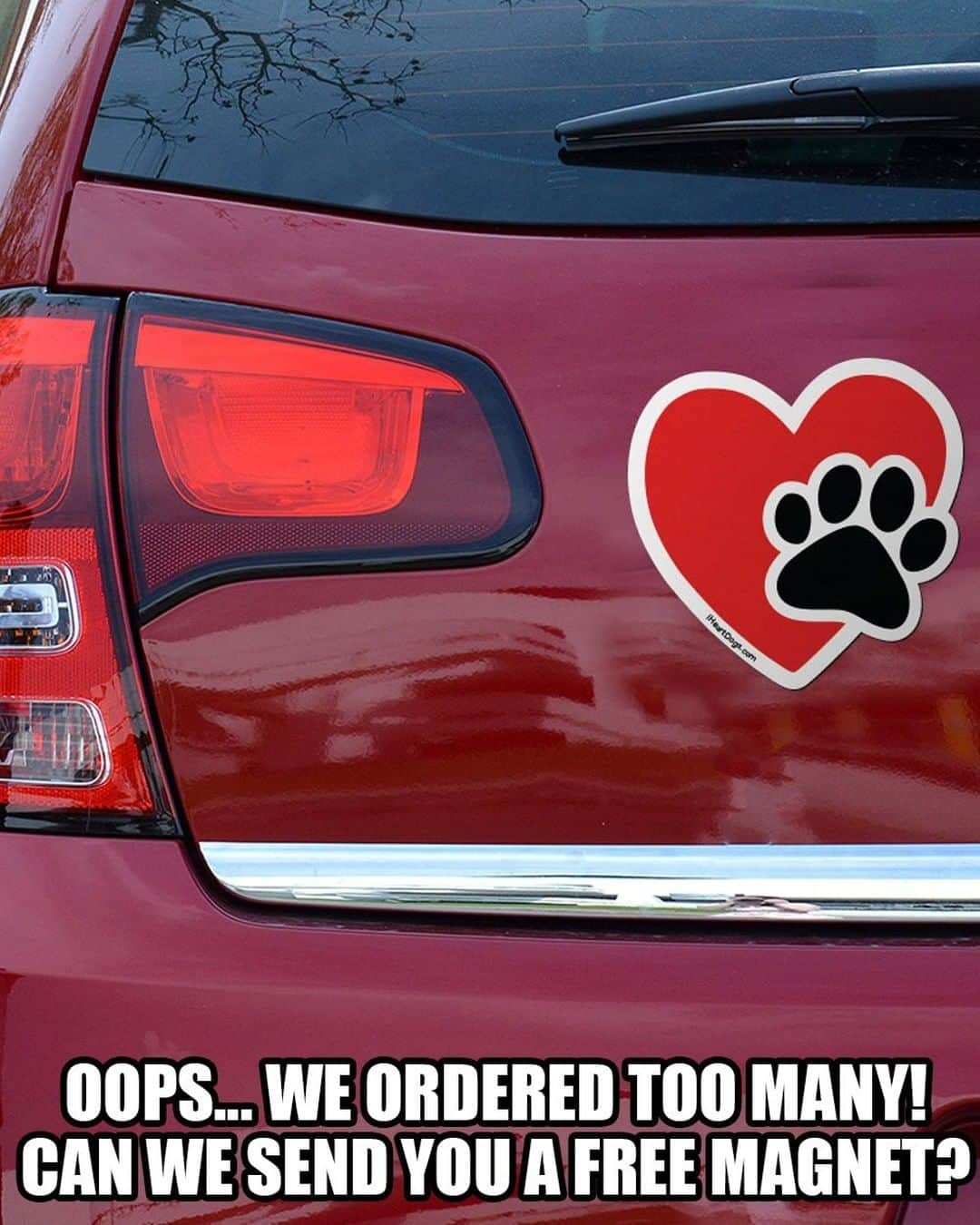 Animalsのインスタグラム：「Anyone want one of these car magnets? We'll send you one free, just pay a small S&H that includes a shelter donation! Link in @iheartdogscom bio.」