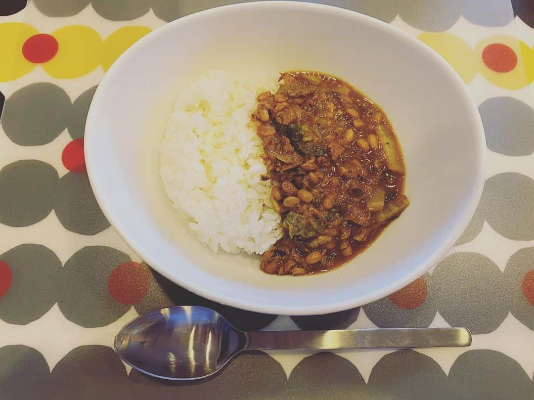 NAOTOさんのインスタグラム写真 - (NAOTOInstagram)「お昼ごはんは久しぶりに自作カレー。🍛 和を感じたかったのか、サバ缶納豆白菜で。 しかし方向は完全に南インドでした。 うちにあったスパイスが少し鮮度が低く、香りが弱かったこともあったけど、その割には美味しく出来ました。😊 #カレー情報局 #30分ごはん」12月28日 12時39分 - naoto_poper