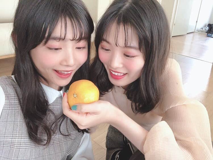 ニコ☆プチのインスタグラム：「🍊 冬と言えばみかん~~。 なちゃまさんとあきさん。 . . #ふたりでひとつ食べるのかな😗 #ちゃまさんあきさん #近藤藍月  #丸山真亜弥  #みかん」