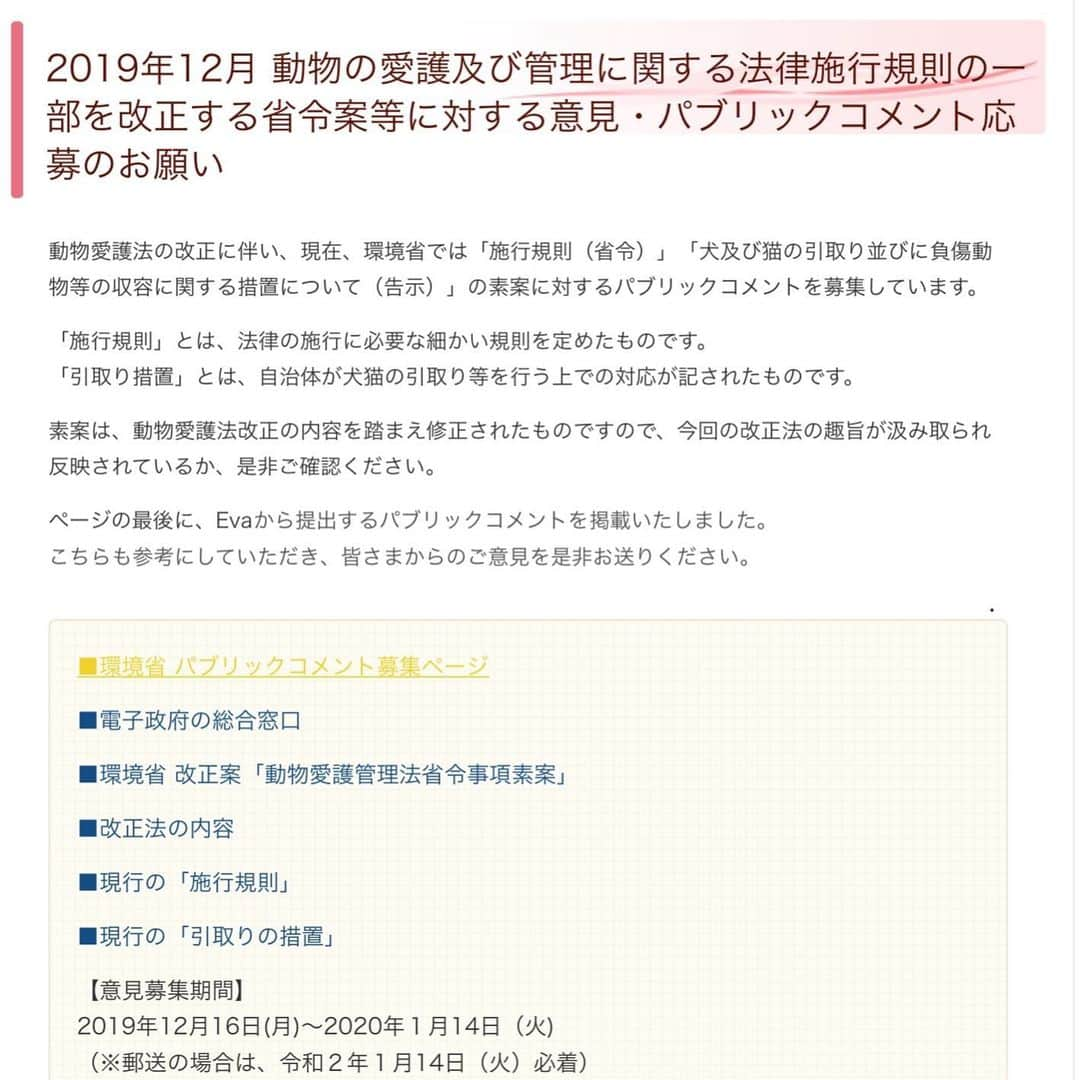 杉本彩さんのインスタグラム写真 - (杉本彩Instagram)「* * 動物愛護法の改正に伴い、現在、環境省では 「施行規則（省令）」 「犬及び猫の引取り並びに負傷動物等の収容に関する措置について（告示）」の  素案に対するパブリックコメントを募集しています。 「施行規則」とは、法律の施行に必要な細かい規則を定めたものです。* * * 「引取り措置」とは、自治体が犬猫の引取り等を行う上での対応が記されたものです。  素案は、動物愛護法改正の内容を踏まえ修正されたものですので、  今回の改正法の趣旨が汲み取られ反映されているか、是非ご確認ください。  Evaのホームページでは、Evaから提出するパブリックコメントを掲載いたしました。  こちらも参考にしていただき、皆さまからのご意見を是非環境省にお送りください。  素案に対するコメントで、いくつか抜粋しポイントをご説明していますので、そちらも参考になさってください。* * * 【意見募集期間】 2019年12月16日(月)～2020年１月14日（火) （※郵送の場合は、令和２年１月14日（火）必着）  詳しくは、Evaホームページのトップにあるバナーよりご覧ください❗️ * * * http://www.eva.or.jp  #公益財団法人動物環境福祉協会Eva #環境省 #パブリックコメント #環境省令 #動物愛護管理法改正」12月29日 1時55分 - sugimoto_aya0719