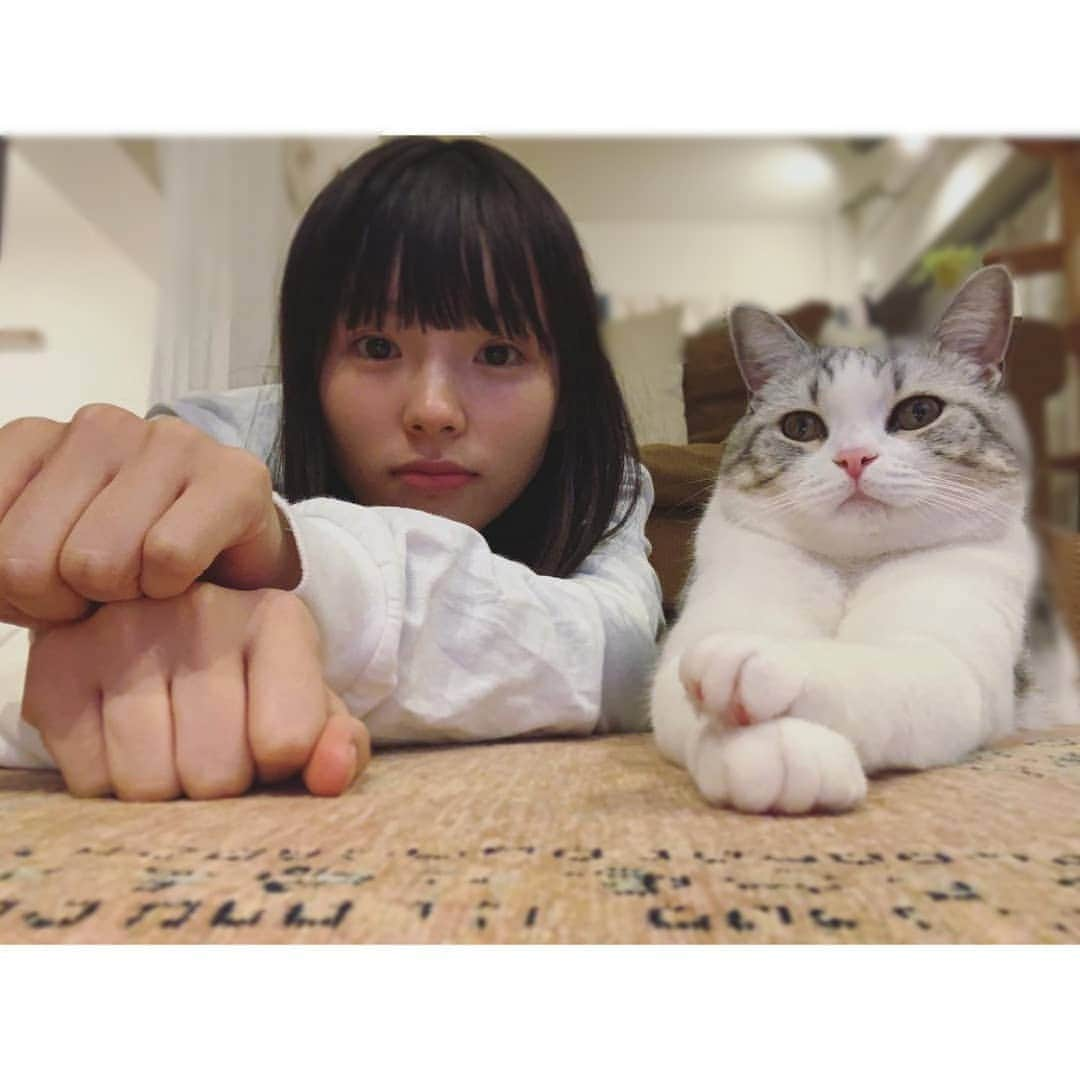 小西はるさんのインスタグラム写真 - (小西はるInstagram)「今年も一年本当にありがとうございました。わたしとたおから感謝を込めて。♡」12月28日 18時05分 - haru_konishi_official