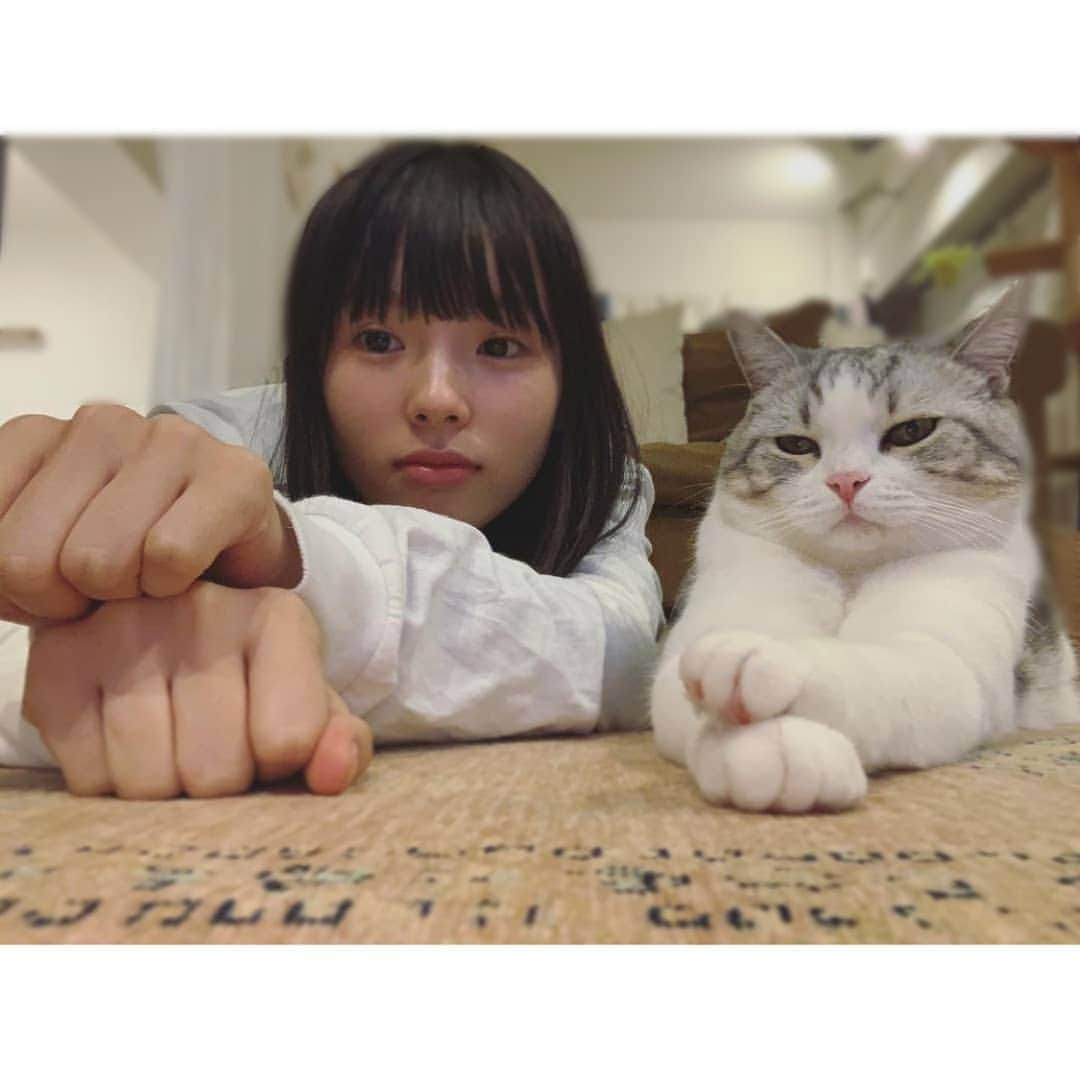 小西はるさんのインスタグラム写真 - (小西はるInstagram)「今年も一年本当にありがとうございました。わたしとたおから感謝を込めて。♡」12月28日 18時05分 - haru_konishi_official