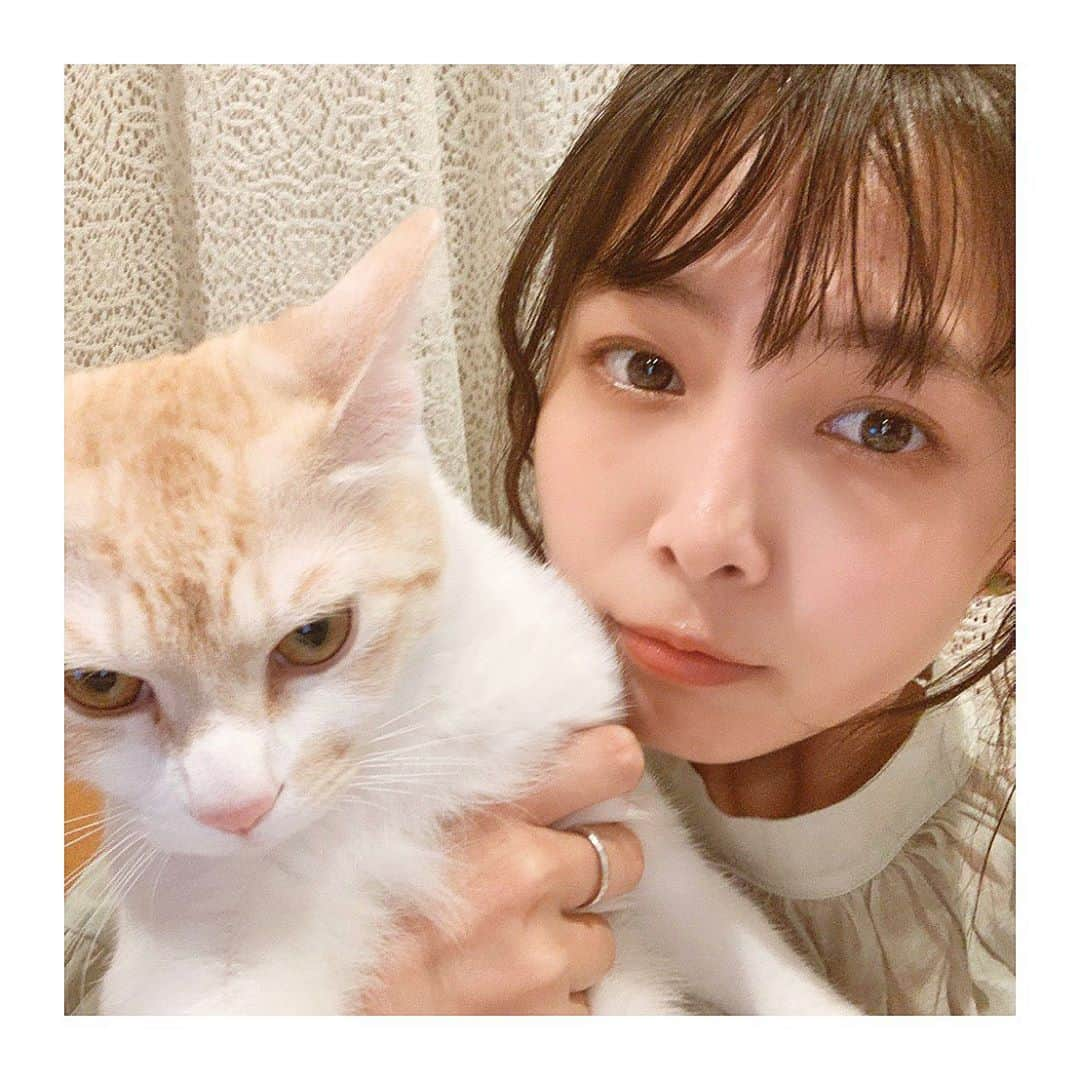 寺本莉緒さんのインスタグラム写真 - (寺本莉緒Instagram)「仕事納めたニャアー🐈 . . 今年もお世話になりました。 来年もよろしくお願いします☺︎」12月28日 18時38分 - lespros_rio