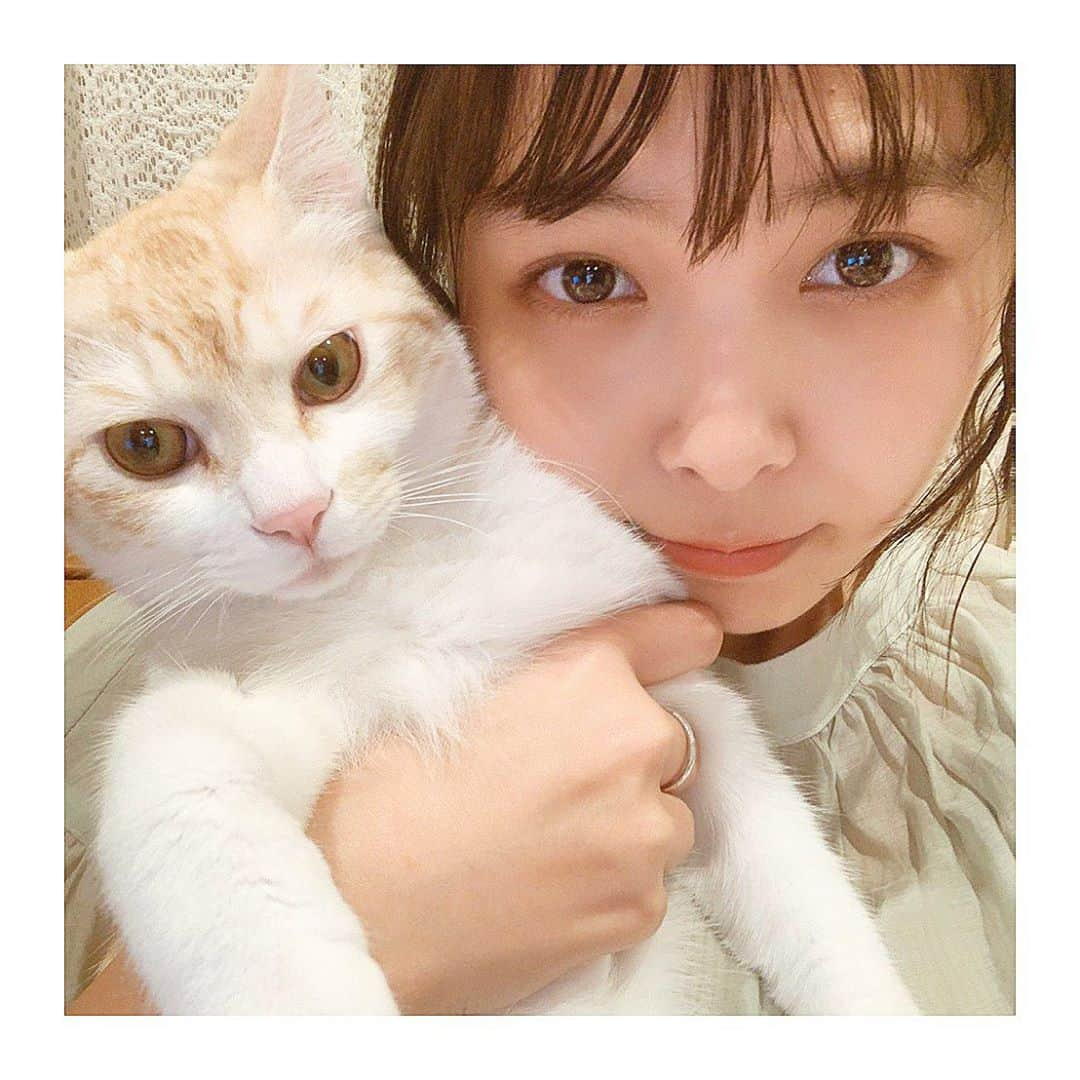 寺本莉緒さんのインスタグラム写真 - (寺本莉緒Instagram)「仕事納めたニャアー🐈 . . 今年もお世話になりました。 来年もよろしくお願いします☺︎」12月28日 18時38分 - lespros_rio