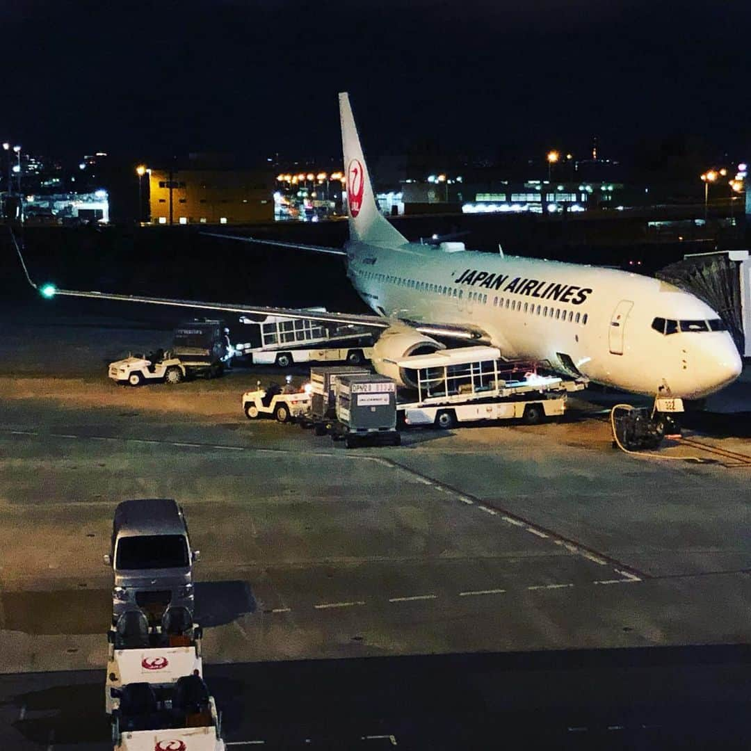 金子三勇士さんのインスタグラム写真 - (金子三勇士Instagram)「Two more flights this year #flyjal #JAL @japanairlines_jal #JGCDiamond #oneworldemerald #pianist #MiyujiKaneko #B738 #空の旅 #日本航空 #年末 #旅人 #ピアニスト #金子三勇士」12月28日 19時18分 - miyujikaneko_official