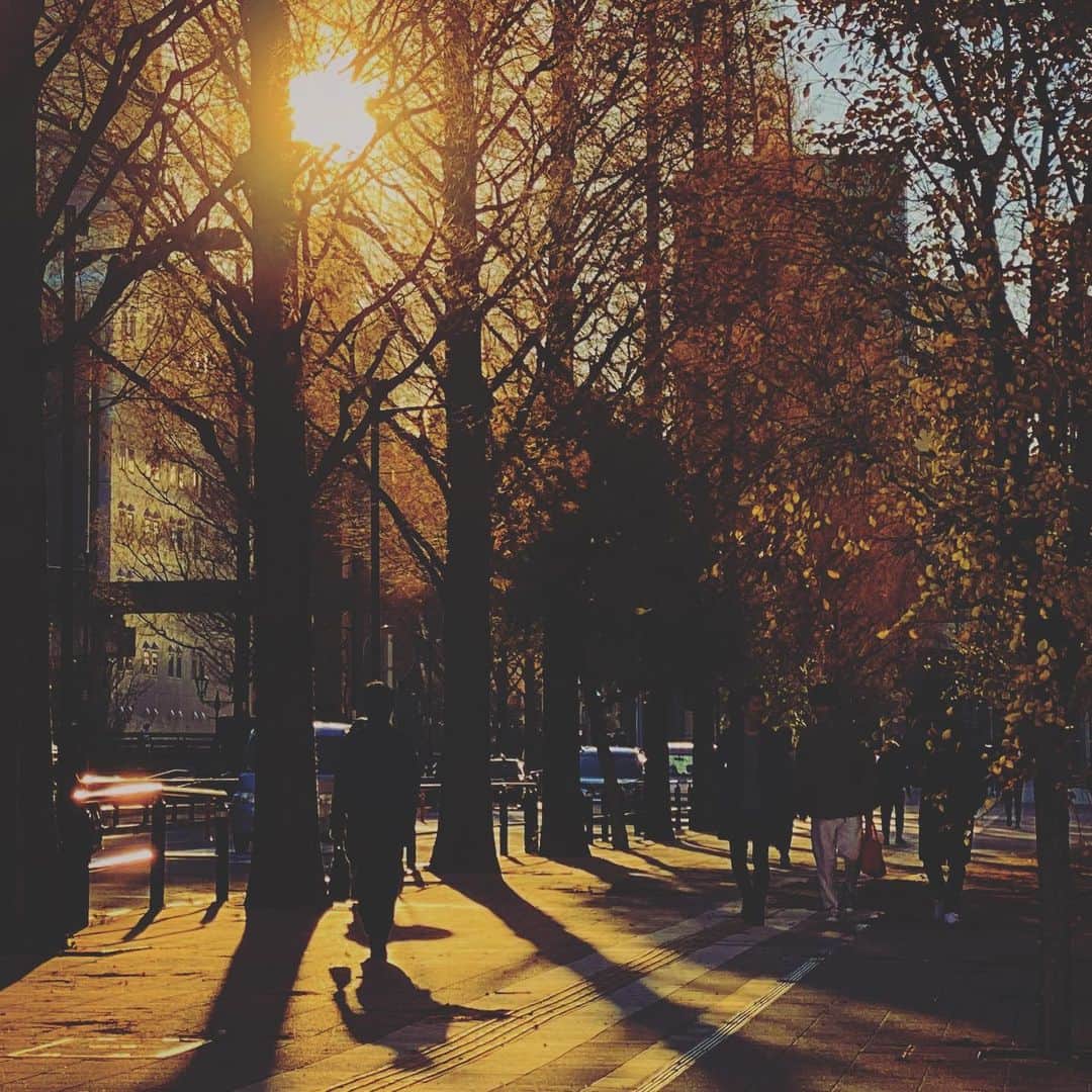 松村太郎のインスタグラム：「#2019年 も、お疲れ様です。 #Shibaura #Tamachi #Tokyo #Winter #ShotoniPhone」
