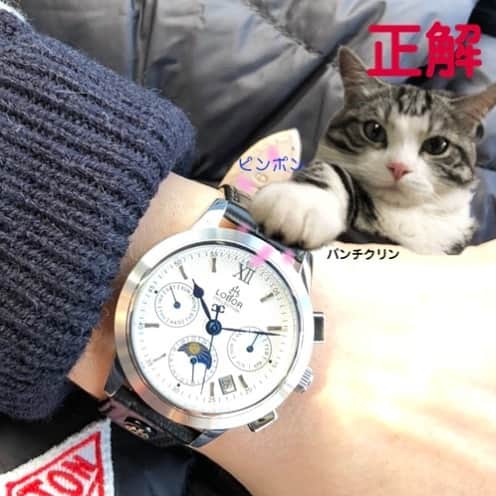 kamunaさんのインスタグラム写真 - (kamunaInstagram)「この度LOBOR JAPAN様のプロモーションに参加させていただきました。 こちら自動巻の時計です。  自動巻とは 時計を着用した時に腕の動きに合わせてムーブメントに内蔵されているローターが回転し、それが歯車類に伝達することでゼンマイが自動的に巻き上げられ動く仕組みのことをいいます。 ... 手巻きと違い、手でゼンマイを巻かなくても、腕に着用しているとまかれるのです。 とても元気に動きます。 私はこの自動巻がとても好きです。 今回クーポンコードを発行していただきました。  #lobor #ロバー #腕時計 #時計 #手元倶楽部  クーポンコードは、 【tanso1222】 ご使用で10パーセントオフになります。 (クーポン使用期限は本日より1年間)  @loborjapan ☺️」12月28日 20時39分 - tansoku_love