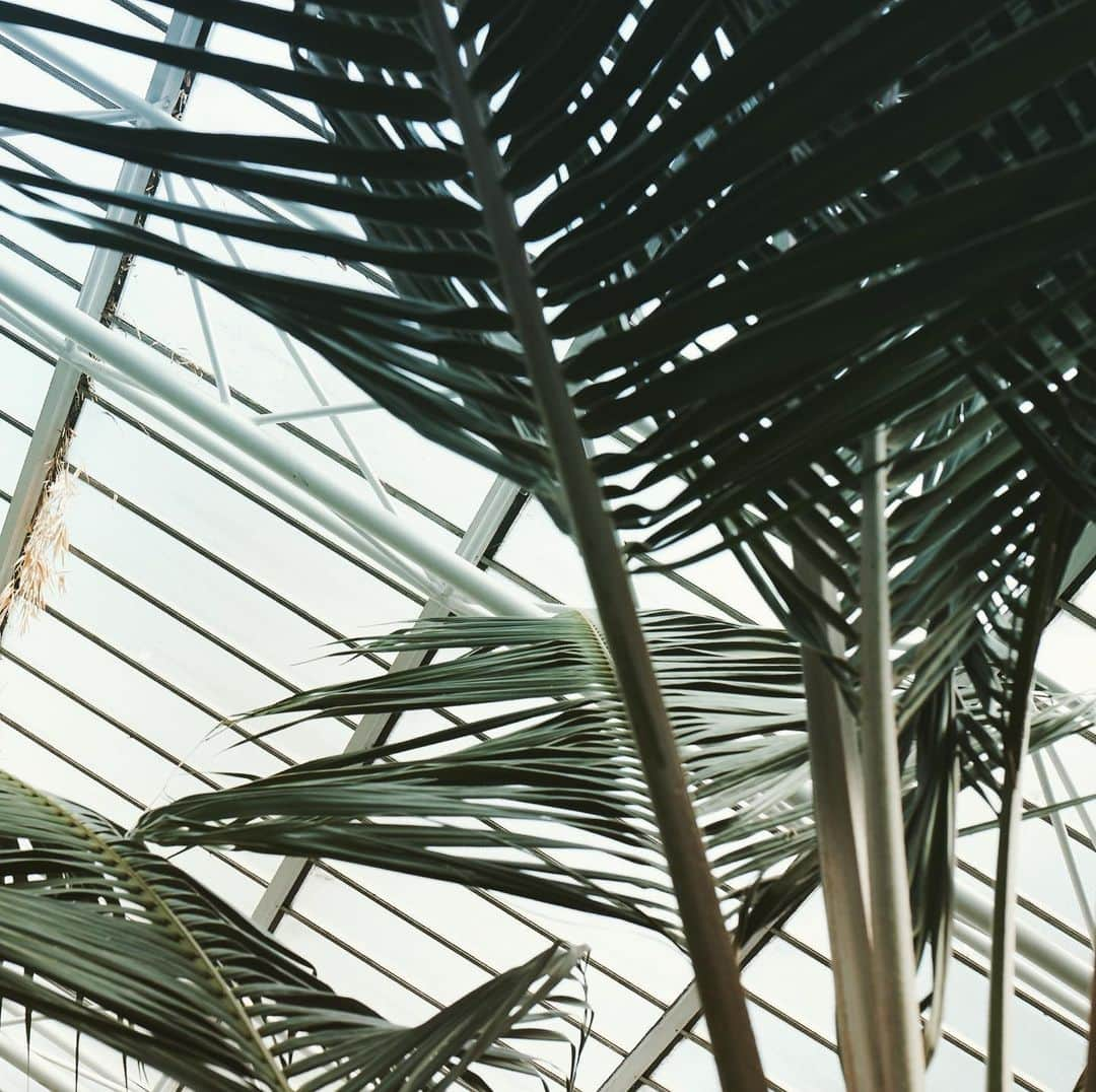 アマンダ ウェイクリーさんのインスタグラム写真 - (アマンダ ウェイクリーInstagram)「Throw back to our Spring lookbook shoot at the amazingly peaceful leafy sanctuary #barbicanconservatory…  #brutalistarchitecture #spring2020fashion」12月28日 21時18分 - amandawakeley