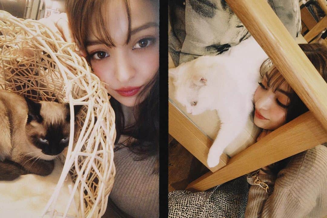 CARINA（日向カリーナ）さんのインスタグラム写真 - (CARINA（日向カリーナ）Instagram)「猫愛🐈🧡 やみつき〜。。ひたすらに癒されました👼🏻」12月28日 21時21分 - carina_hinata