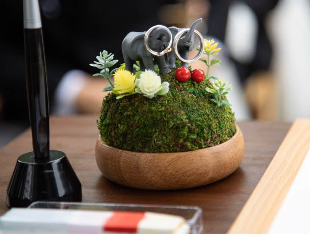 The Sally Garden（ザ サリィガーデン）のグルメインスタ