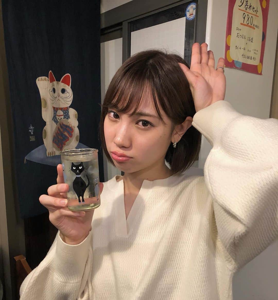高野祐衣さんのインスタグラム写真 - (高野祐衣Instagram)「さぁこの写真に﻿ 猫は何匹いるでしょ〜😽﻿ ﻿ ﻿ ﻿ ﻿ #日本酒 #日本酒女子﻿ #カップ酒 ﻿ #唎酒師 #ゆいぽんしゅ」12月28日 21時34分 - yuipooon12_06