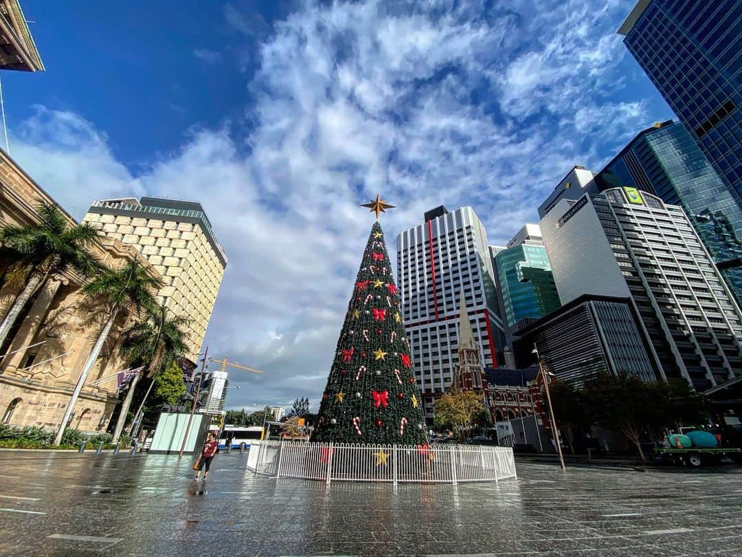 渡辺由布子さんのインスタグラム写真 - (渡辺由布子Instagram)「🇦🇺 ・ Hello, summer #Australia ! #Christmas always goes so fast, but still here🎄🎅 ・ 真夏の#オーストラリア へ！ 日本のクリスマスツリーはあっという間に撤収されてしまうけれど、この街ではまだまだクリスマス気分を味わえて、ココロオドル♡  やっぱり諦められなくて、渡航前日に慌てて購入した @iphone11pro.official が最強！夜景モードが一眼レフ級！自分へのクリスマスプレゼント🎁  #年越し海外 #カウントダウン #christmasvibes  #christmascolor #holiday  #summer #bridge  #newyearstrip #NYE 📍　#StoryBridge #Brisbane #Australia #🇦🇺」12月28日 22時00分 - watanabe_yuko