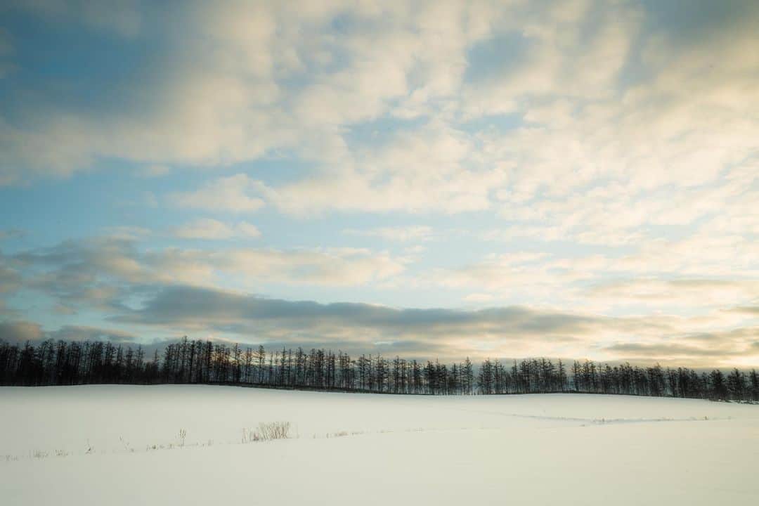 Hikaruさんのインスタグラム写真 - (HikaruInstagram)「#美瑛の丘 . . 冬の朝は氷点下となり、 カメラセットするのも大変なの。 でも、空も雲も広くて素敵。 . . #instagram #北海道 #instagramjapan #東京カメラ部 #tokyocameraclub #natgeospace #bealpha #SonyAlphasClub #pashadelic #team_jp #bestjapanpics #natgeo #sonyphotography #日本の絶景 #ig_great_pics #BBCtravel #ig_worldclub」12月28日 22時05分 - hikaru__satoh