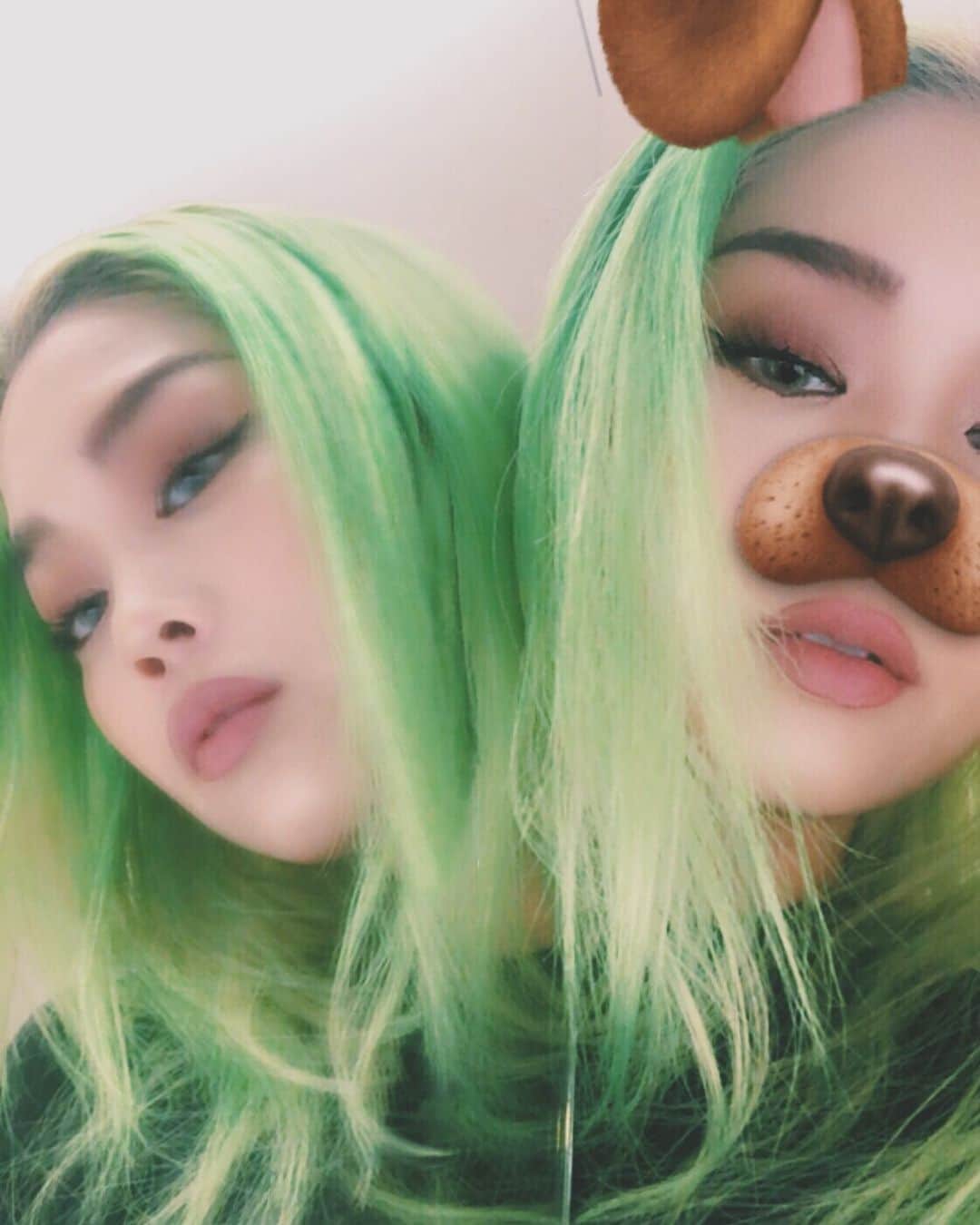 TOKINEのインスタグラム：「2018 WINTER💕🐉🦋🐝🐞🦄 #tb」