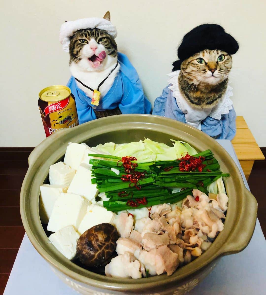 マロさんのインスタグラム写真 - (マロInstagram)「もつ鍋〜Motsunabe〜　SWIPE▶️ Motsunabe is a Japanese food that is made from Beef or Pork Tripe (offal). Vegetables are also added with some Tofu (bean curd). ☆ いつもコメントありがとうございます😸🙏💕 返信出来なくてすみません🙇‍♀️ 全て拝見しています🐾 ☆ Thank you for your kind comments😸🙏💕 I'm sorry that I couldn't reply. ☆ #cat#cats#catsofinstagram#😻 #japanesefood#hotpot#ねこ#猫 #にゃんすたぐらむ#ふわもこ部 #ねこ部#もつ鍋#ビール#寅さん  #男はつらいよ#男はつらいよお帰り寅さん#寅さんとさくら」12月28日 22時41分 - rinne172