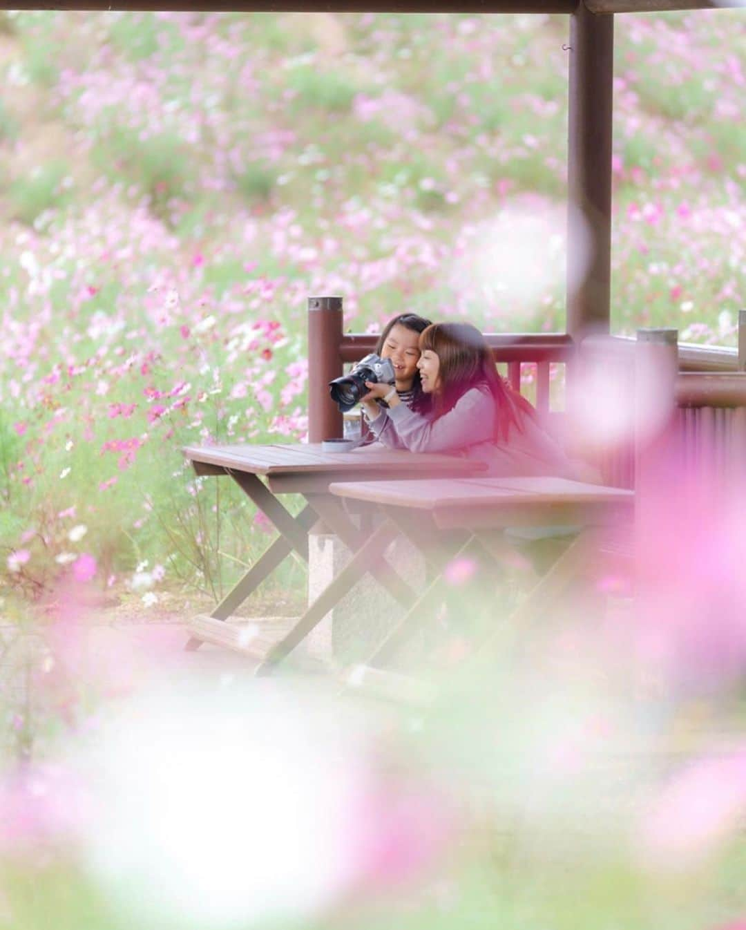 はなまっぷ❁日本の花風景さんのインスタグラム写真 - (はなまっぷ❁日本の花風景Instagram)「🌸🍺はなまっぷの忘年会2019🍺🌸 * @maro_nagashi さんの  2019年のお花に花まるを💮 * 今年一年素敵なお花をたくさん ありがとうございました😊🌸💮 * 全て香川 1三豊市内 2フラワーパーク浦島 3東かがわ市内 4中山ひまわり団地 5国営讃岐まんのう公園 * 🌼•••🌹•••💠•••🌷•••🌸•••🌺 * 💮みなさんの2019年のお花に花まるを💮 * 今年撮影されたお気に入りのベスト5 （5枚以内なら何枚でもok） を複数枚一括投稿で、 #はなまっぷ忘年会2019 に投稿お願いします😊 * みなさんのご参加お待ちしております🍺 * #はなまっぷ * 🌼•••🌹•••💠•••🌷•••🌸•••🌺 * #日本#花#花畑#花のある風景」12月28日 22時51分 - hanamap