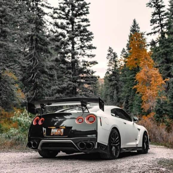 Nissanさんのインスタグラム写真 - (NissanInstagram)「If a #GTR roars in woods, and no one is around to hear it, does it make a sound? Yes. #OMGTR #NissanGTR 📷: @ajmedia801」12月28日 23時06分 - nissan