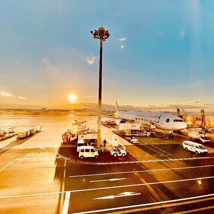 DJ DRAGONのグルメインスタ