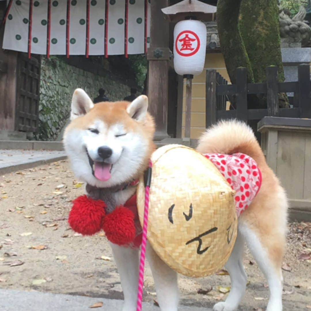 てんパパのインスタグラム