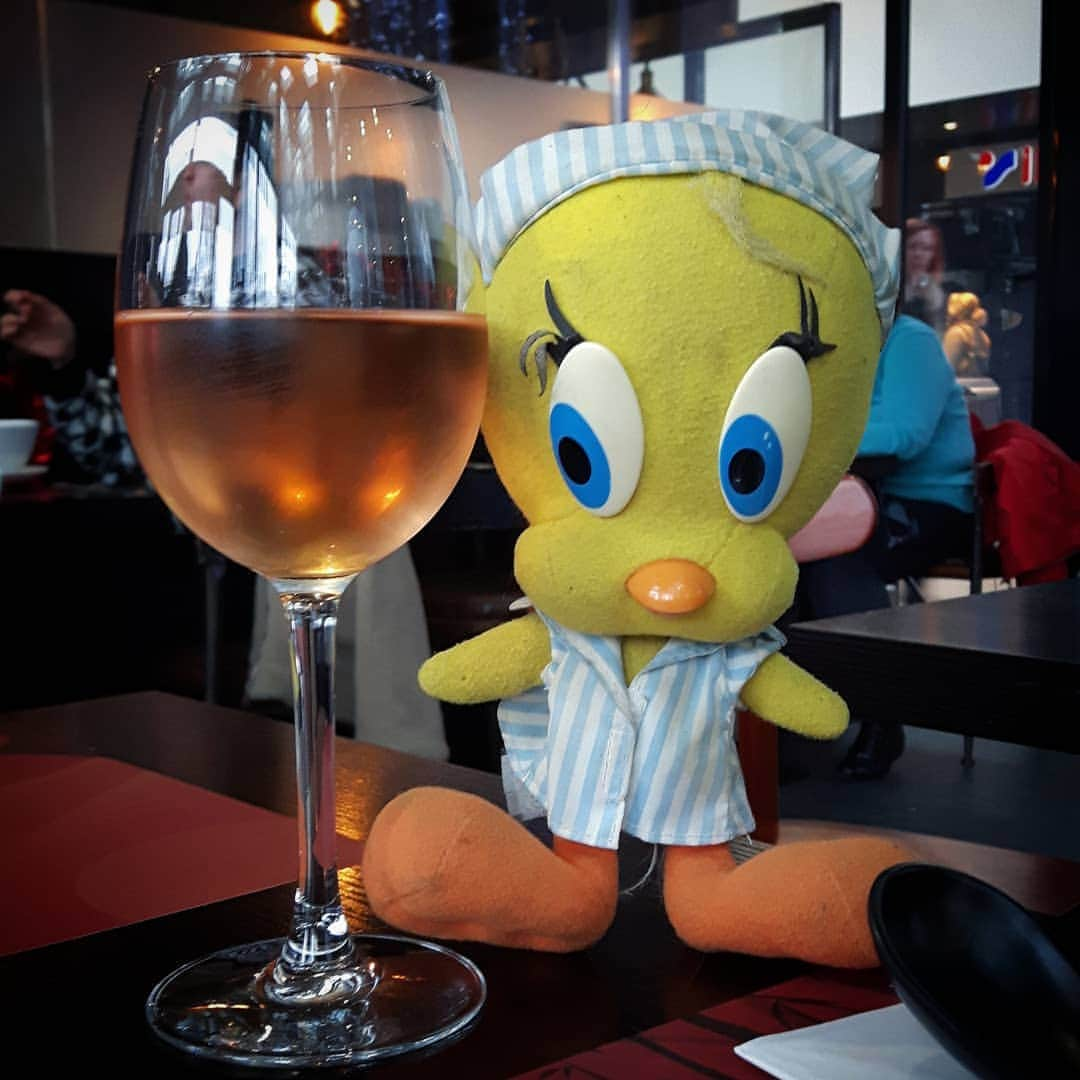 Little Yellow Birdさんのインスタグラム写真 - (Little Yellow BirdInstagram)「I'm watching my diet, so a liquid lunch it is today!😂 #littleyellowbird #tweety #tweetykweelapis #adventures #yellow #bird #weekend #saturday #lunch #liquidlunch #saigoncaphe #amsterdam #rose #wine #watchingmydiet #holidays #december #winter #stuffedanimalsofinstagram #plushiesofinstagram」12月28日 23時27分 - tweetykweelapis