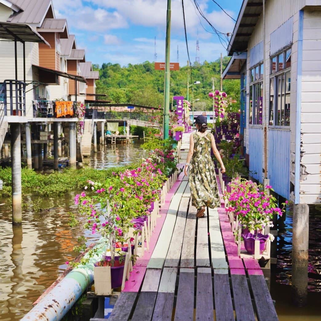 小林希さんのインスタグラム写真 - (小林希Instagram)「ブルネイ水上集落カンポン・アイールは、水上の板の道をトコトコ歩いて散策。﻿ だいたい1時間あればざっくり見れるかな？﻿ でも猫が多いので、私には2時間は必要でしたー🥺﻿ そして、ここはブルネイでもアジアらしいというか、日常風景に出会えます。﻿ ﻿ ﻿ ﻿ ﻿ ﻿  #journey #viaje #voyage #travel #japan #旅 #旅女 #トラベル#海外旅行#ボルネオ島 #ブルネイ#brunei #borneo #カンポンアイール#水上集落﻿」12月28日 23時35分 - nozokoneko