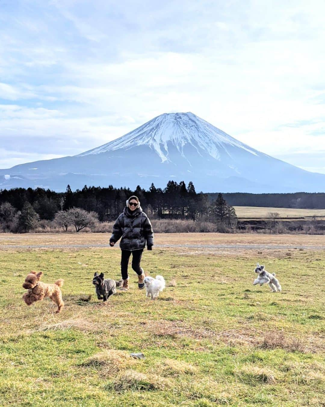 大日方久美子さんのインスタグラム写真 - (大日方久美子Instagram)「・ いつもは外を怖がるヴィヴィとムーちゃんも楽しそうに突っ走るから、私もつられてダッシュを楽しんだ💨 ・ 犬たちにも感情があると科学的に証明された2019年。  それなのに、飼育放棄や悪徳ブリーダーによる心ない行為。野犬として生まれ育った子たちへの殺処分。  こんなことが毎日普通に行われていて、その現実を知れば知るほど心が疲弊してしまいそうになる。  ペットショップで購入し都合が悪くなったら虐待されゴミ袋に入れて捨てられたヴィヴィは今では私たちのかけがえのない宝物。  若い女の子が飼育放棄して保健所に連れてこられたムーちゃんは、今では神がかった可愛さで、皆んなを骨抜きにしています。  野犬の子をはじめ、私が一時預かりをした子たちも、里親さんのかけがえのない存在になったのは紛れもない事実。  その事実に目と心を向け、怒りや悲しみの感情は封印し、目の前にある幸せな現実を伝えていくことが、私がすべきことだと答えを出しました。  今の私は何もできないとメッセージをくださる皆さまへ。  そう感じてくださることは、何もできないことではなく、心を使ってくださっていると思っています。  お金はあるけど、時間がない人は寄付や支援援助をしてくださってる。  お金はないけど、時間がある方は、行動に移してくださってる。  お金も時間も余裕もないって方だって、知恵や経験や情報をシェアしてくださってる。  殺処分ゼロ。生態販売禁止。は果てしないゴールに思えるかもしれないけど、できることをできる人ができる時に行動に移すことで、必ず到達できると信じて、これからも私にできることをその都度探し行動していきます。  続けることで、道はできる。  これも43年間でわかった、私の紛れもない事実。 ・ ・  #自分メモ #保護犬 #保護猫 #殺処分ゼロ #保護犬を家族に  #保護犬を飼おう  #犬は家族  #猫は家族  #できることをできる人ができる時に #kumitravelstyle  #キャンプ #保護犬JIRO #キャンディ師匠  #保護犬vivienne  #保護犬ムーちゃん」12月29日 0時46分 - kumi511976