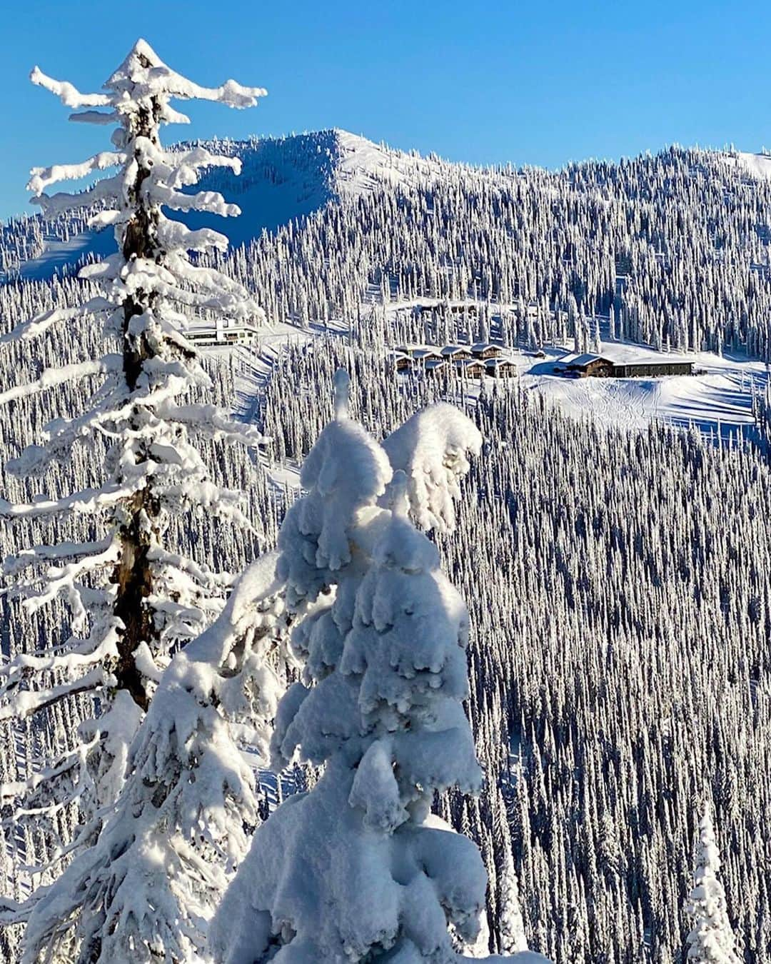 ケン・ブロックさんのインスタグラム写真 - (ケン・ブロックInstagram)「Some of my favorite random/artsy shots from my week-long holiday trip to @BaldfaceLodge with the family. From Santa delivering presents, to artsy tree shots, to an epic view of the lodge. This place delivers what any powder seeking art fiend is looking for. #artsyfartsy #SantaRice #BaldfaceLodge」12月29日 10時47分 - kblock43