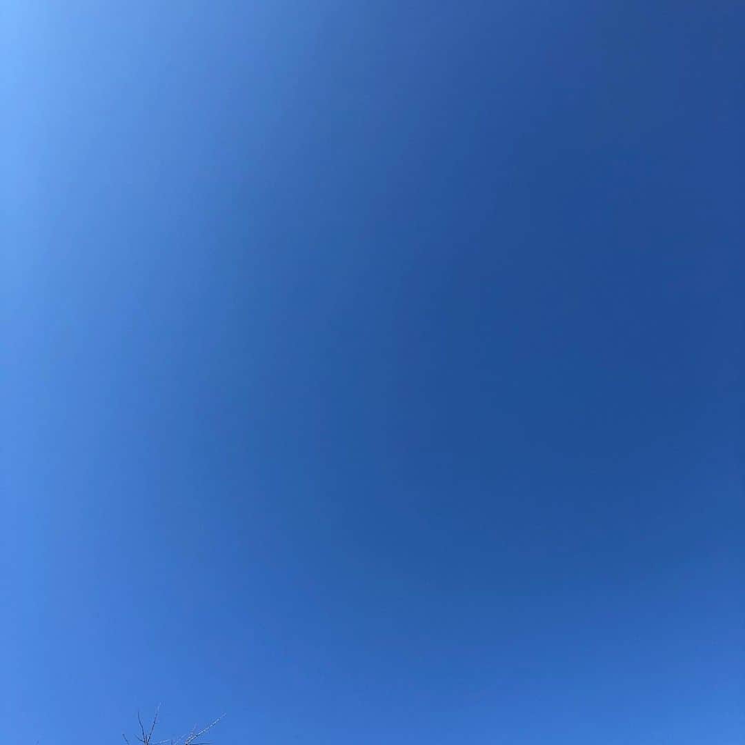 中嶋ユキノさんのインスタグラム写真 - (中嶋ユキノInstagram)「‪空。‬ ‪青い。‬ ‪きれい。‬ ‪この季節のクリアな空気が好き。‬ ・ ‪2019年もあと、二日半。‬ ・ ‪みなさま、今年はどんな一年でしたか？？‬ ・ #空 #空が好きな人と繋がりたい  #青 #深呼吸 #１年振り返り」12月29日 11時35分 - nakajima_yukino