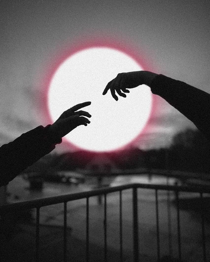 Shapicalのインスタグラム