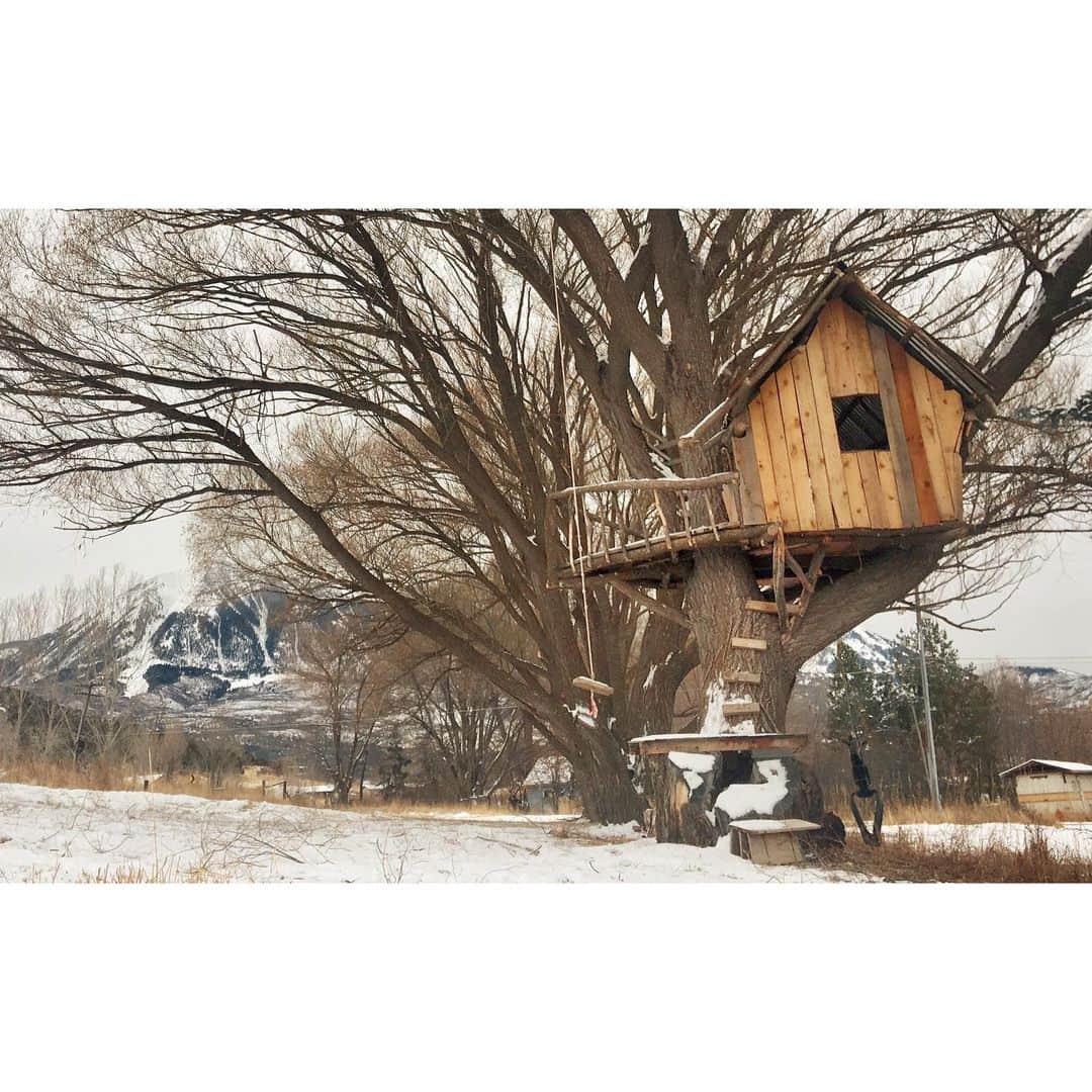 ライアン・ダニエル・ドブソンのインスタグラム：「I’m so thankful to be a part of a family of creators, artists, sewers, gardeners, and tree-house-builders. My family is awesome. (My brother built this treehouse)」