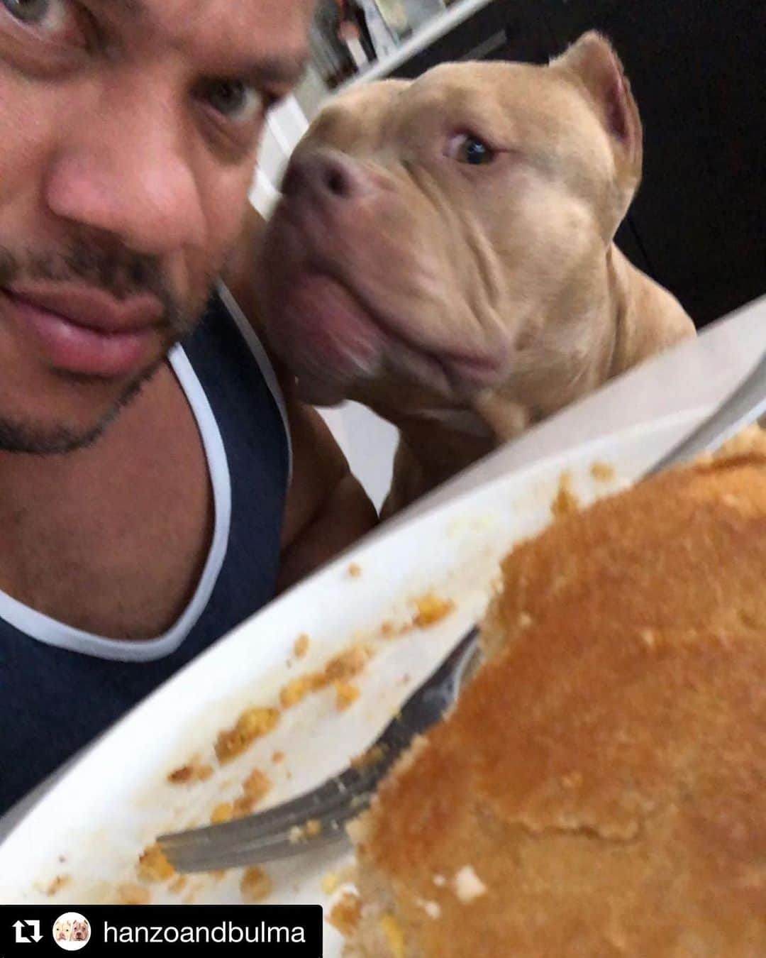 Phil Heathのインスタグラム：「I swear this dog be all up in my mix haha. #HanzoAndBulma @hanzoandbulma」