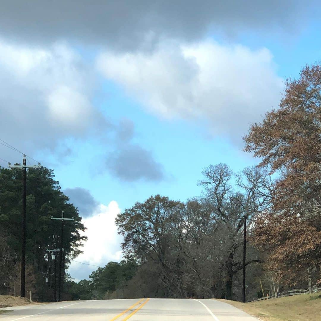 HOLYCHILDさんのインスタグラム写真 - (HOLYCHILDInstagram)「Here’s a picture of nature in Texas to remind u to grab tickets to our tour in February 🎭byeeee」12月29日 5時58分 - holychild